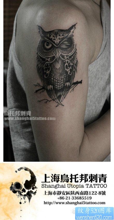 男生手臂帅气可爱的猫头鹰纹身图片