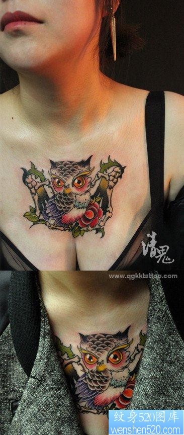 女人前胸流行可爱的猫头鹰纹身图片