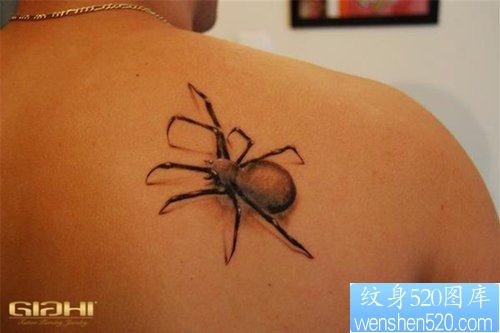 男生背部经典流行的蜘蛛纹身图片
