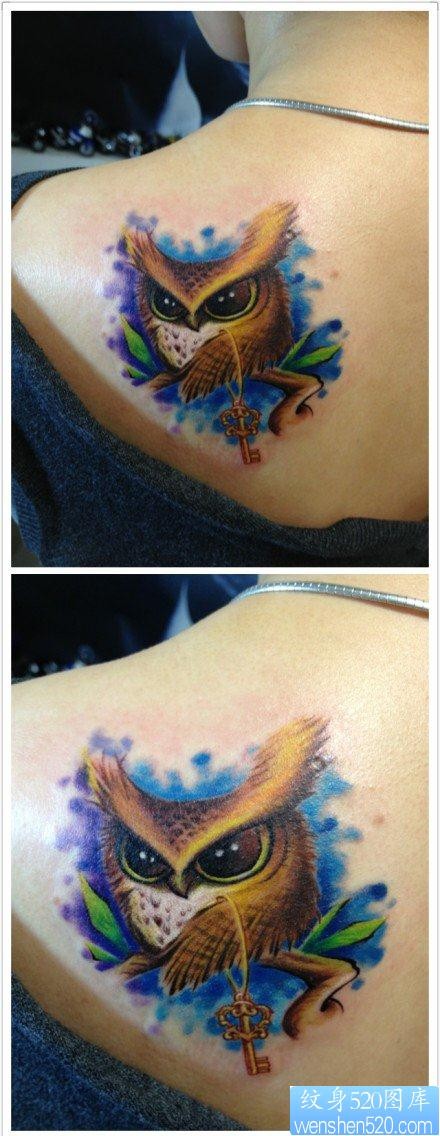 女人背部可爱很萌的猫头鹰纹身图片