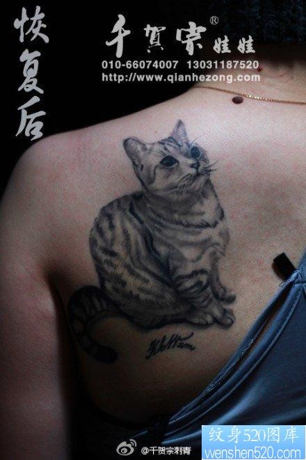 女人背部流行可爱的猫咪纹身图片