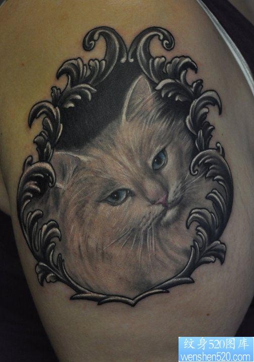 手臂一张经典帅气的白色猫咪纹身图片