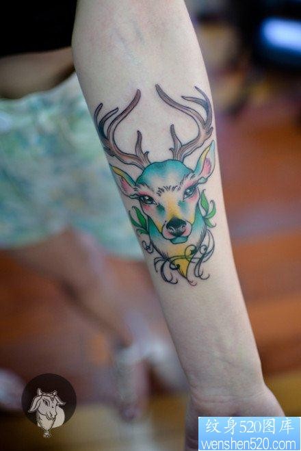 女人手臂前卫好看的小鹿纹身图片