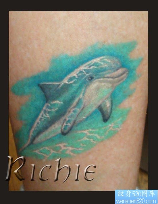 腿部好看经典的海豚纹身图片