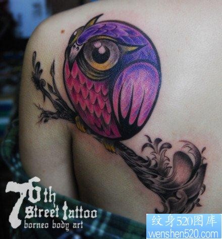 女人肩背呆呆的可爱的猫头鹰纹身图片