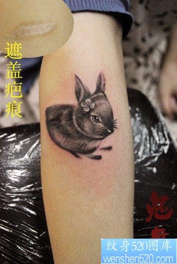 女人手臂可爱小巧的小兔子纹身图片