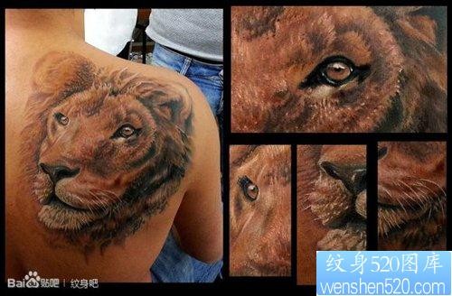 男性肩背帅气超酷的彩色狮头纹身图片