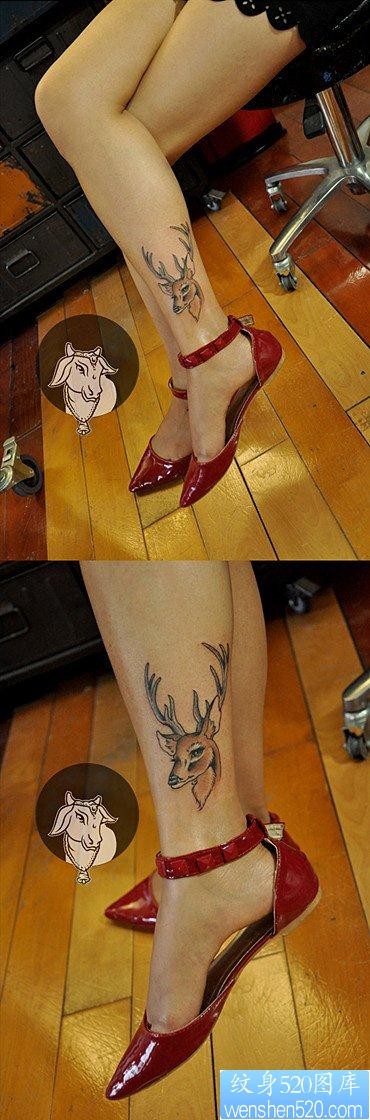 美女腿部前卫经典的小鹿纹身图片