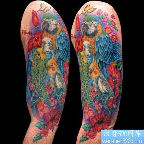 手臂前卫经典的彩色乌鸦纹身图片