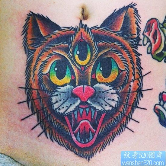 腹部经典前卫的猫咪纹身图片