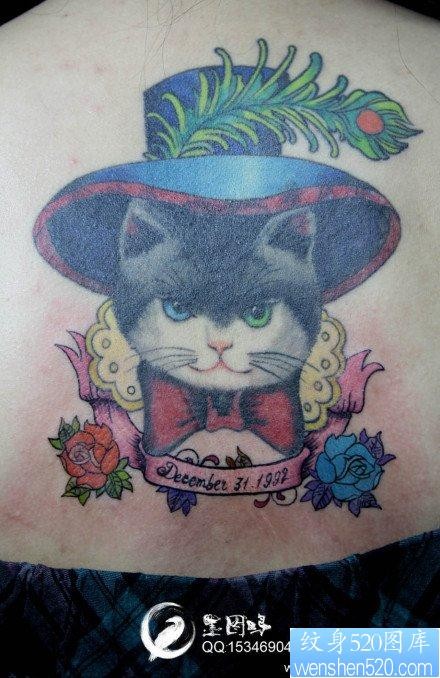 女人后背前卫可爱的猫咪纹身图片