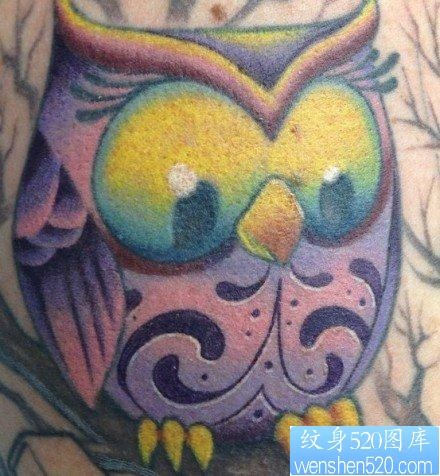 一张可爱有点萌的猫头鹰纹身图片