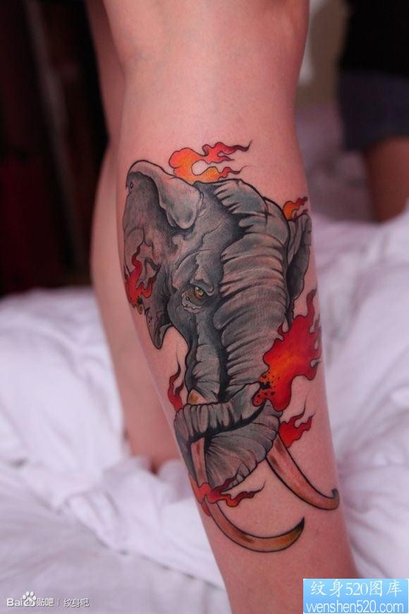 腿部超酷帅气的一张大象纹身图片