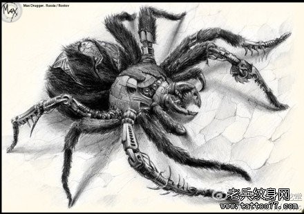 一张前卫超酷的蜘蛛纹身图片