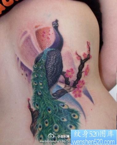 女性后腰漂亮的一张彩色孔雀纹身图片