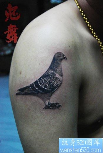 手臂前卫经典的一张鸽子纹身图片