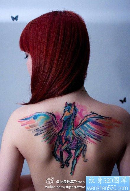 女人后背前卫精美的彩色天马纹身图片