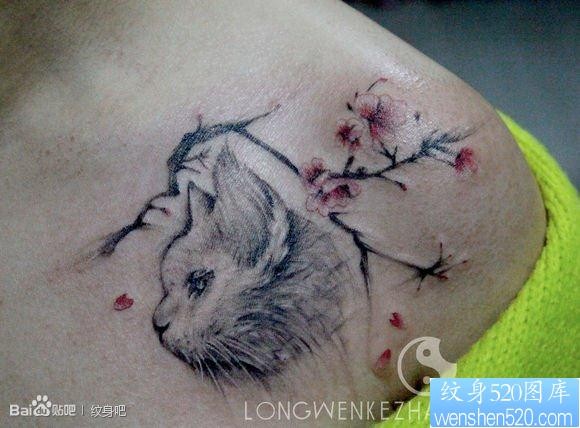 女人胸前可爱的猫咪与梅花纹身图片