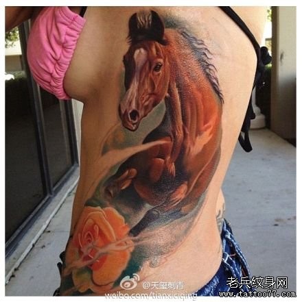 美女侧腰精美的欧美彩色马纹身图片