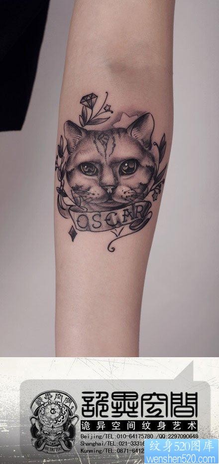 手臂流行经典的黑白猫咪纹身图片