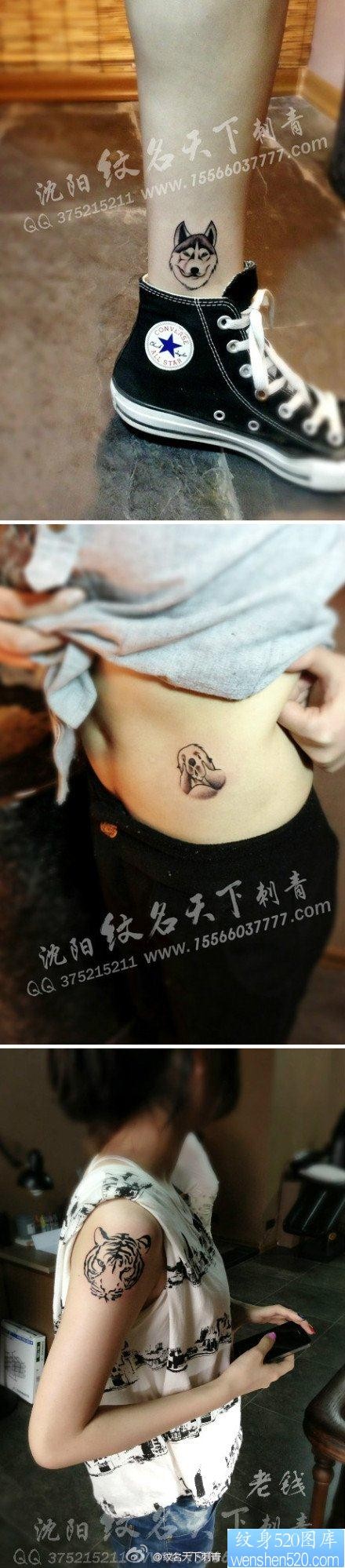 一组可爱流行的女孩子喜欢的小动物纹身图片