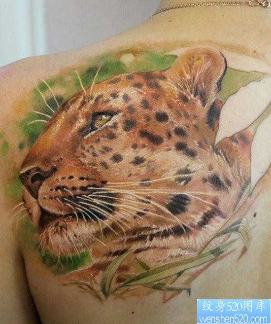 女人后肩背经典很酷的豹子纹身图片