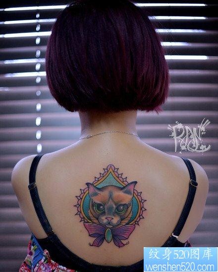 女人后背前卫呆呆的猫咪纹身图片