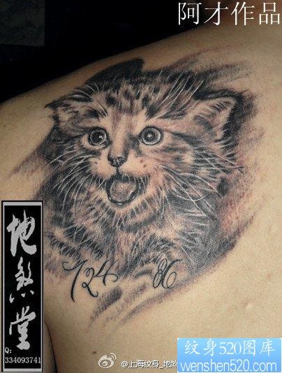 男性后肩背可爱的猫咪纹身图片