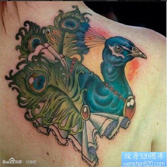 一张经典流行的彩色孔雀纹身图片