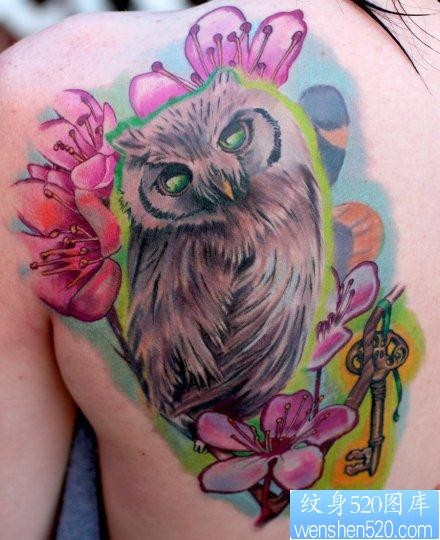 女人后肩背很酷经典的猫头鹰纹身图片