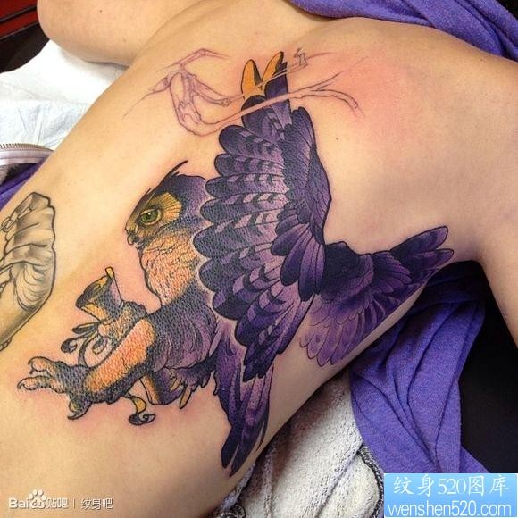 男生后背流行很酷的猫头鹰纹身图片