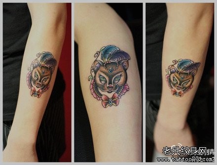 手臂流行前卫的一张猫咪纹身图片