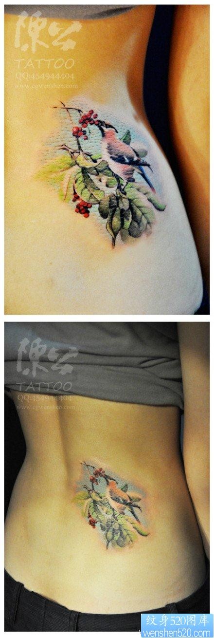 美女腰部前卫流行的小鸟纹身图片