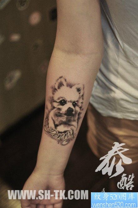 手臂可爱前卫的小狗纹身图片