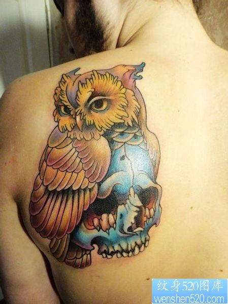 女人肩背流行很酷的猫头鹰纹身图片