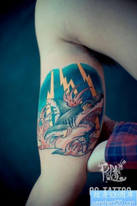 手臂内侧前卫流行的一张鲨鱼纹身图片