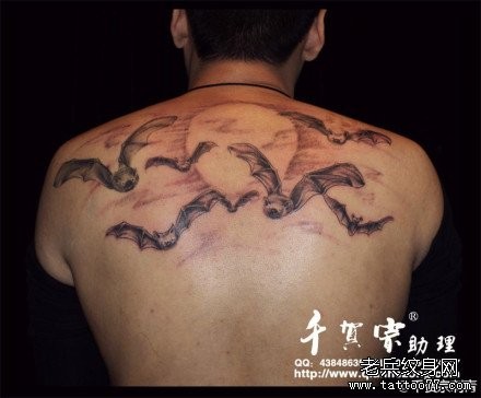 男性后背流行前卫的蝙蝠纹身图片