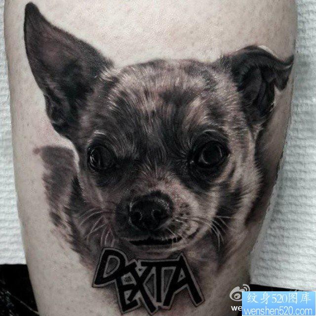 一张可爱的小狗纹身图片
