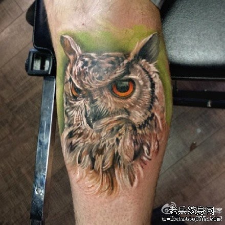 腿部前卫经典的彩色猫头鹰纹身图片