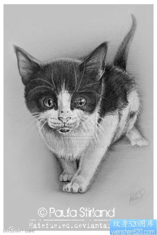可爱前卫的一张小猫纹身手稿