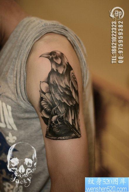 手臂流行很酷的一张乌鸦纹身图片