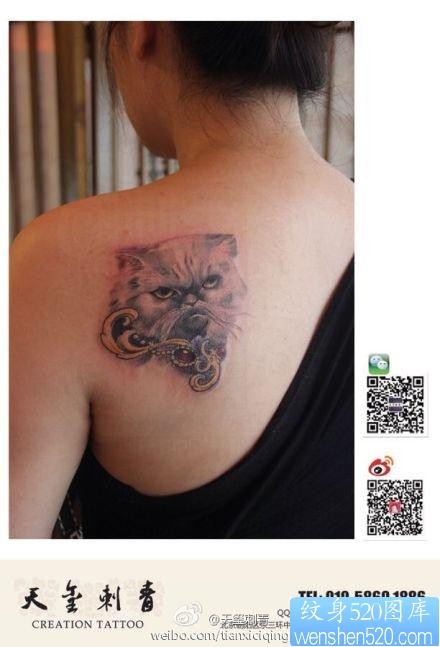 女人肩背流行经典的猫咪纹身图片