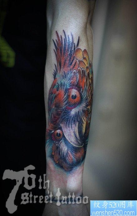 手臂流行经典的一张彩色猫头鹰纹身图片