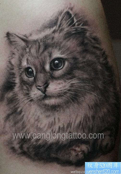 一张可爱小猫咪纹身图片