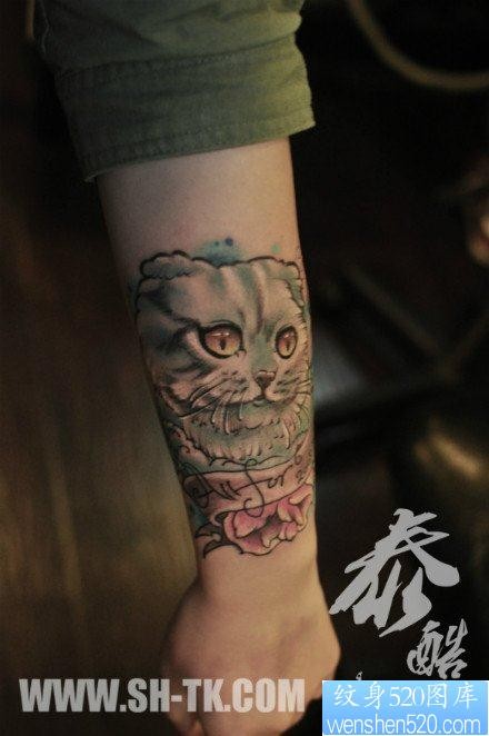 手臂前卫可爱的猫咪纹身图片