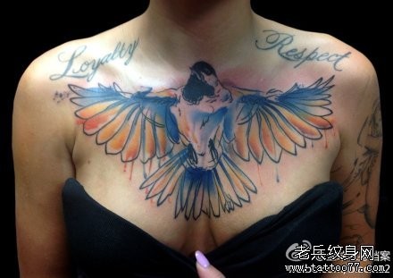 女人前胸经典很帅的一张鸽子纹身图片