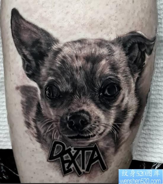 推荐一张小狗肖像纹身图片