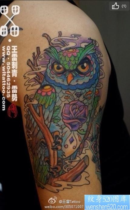 一张漂亮的猫头鹰纹身图片