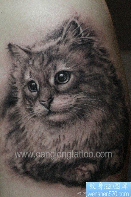 流行可爱的一张黑白猫咪纹身图片