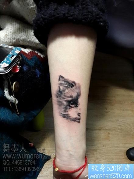 手臂可爱的小猫咪纹身图片